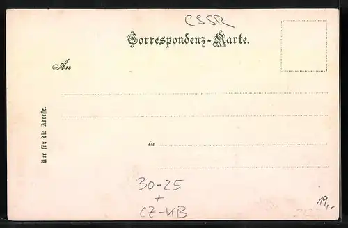 AK Eger, Die Prager tschechische Sicherheitswache am Volkstage 1897