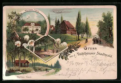 Lithographie Mühlhausen in Th., Stadtwald, Gasthof am weissen Haus, Peterhof, Rotes Haus