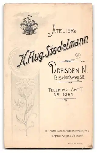 Fotografie H. Aug. Stadelmann, Dresden-N., Bischofsweg 56, Junger Herr im Anzug mit Fliege