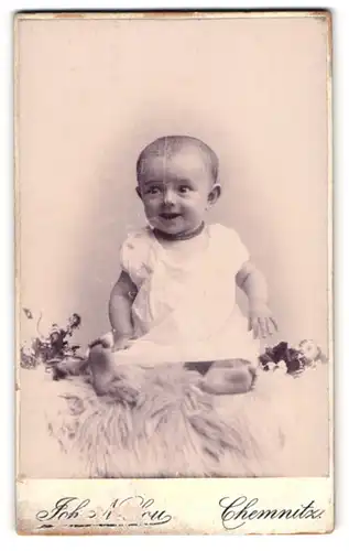 Fotografie Joh. Niclou, Chemnitz, König-Str. 5, Süsses Kleinkind im Hemd sitzt auf Fell
