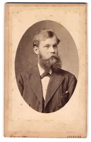 Fotografie H. Mehlert, Itzehoe, Breitestr. 14, Junger Herr im Anzug mit Vollbart