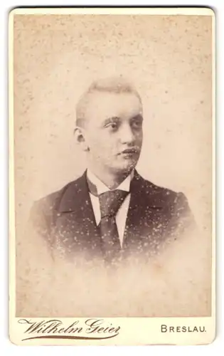Fotografie Wilhelm Geier, Breslau, Schweidnitzerstrasse 16 /18, Junger Bursche mit übergrosser Krawatte, Hubert Arendt