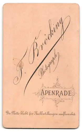 Fotografie F. Bröcking, Apenrade, Bürgerliches Paar in Sonntagskleidung