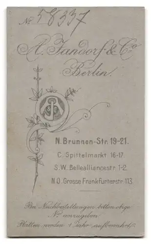Fotografie A. Jandorf & Co., Berlin, N. Brunnenstrasse 19-21, Gutbürgerliche Frau im strahlend weissen Kleid