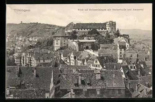 AK Tübingen, Blick auf Hohentübingen mit Neckarhalde und Ammertal