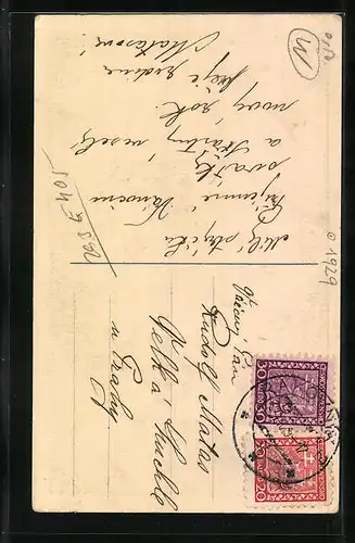 AK Neujahrsengel mit Schwein