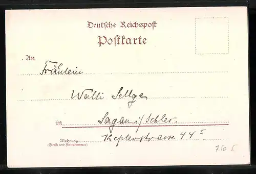 Lithographie Dresden, Panorama mit Carola-Brücke, Helbigs Etablissement