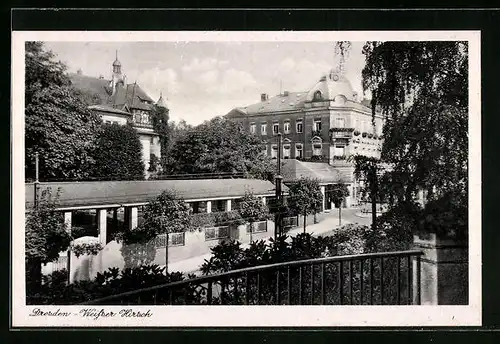 AK Dresden, Weisser Hirsch, Teilansicht