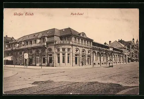 AK Dresden-Weisser Hirsch, Park-Hotel, Bautzner Landstrasse