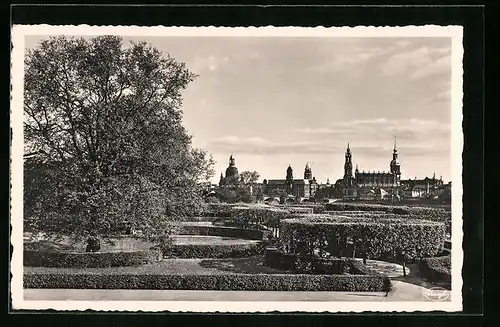 AK Dresden, Blick vom Japanischen Palais