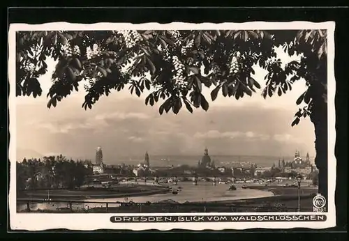 Foto-AK Walter Hahn, Dresden, Nr. 7922: Dresden, Blick vom Waldschlösschen