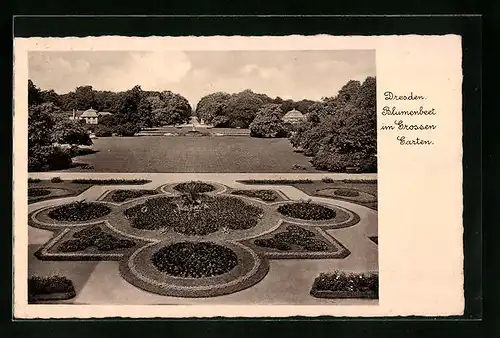 AK Dresden, Blumenbeet im Grossen Garten