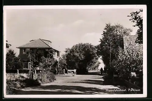AK Hippolytushoef, Parklaan