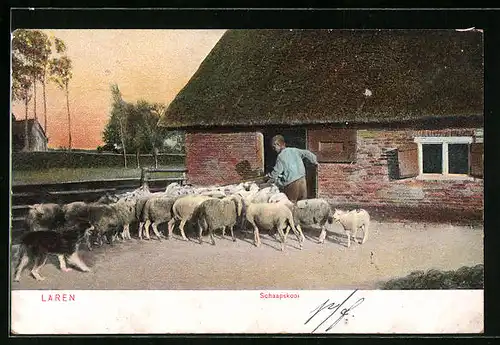 AK Laren, Schaapskooi