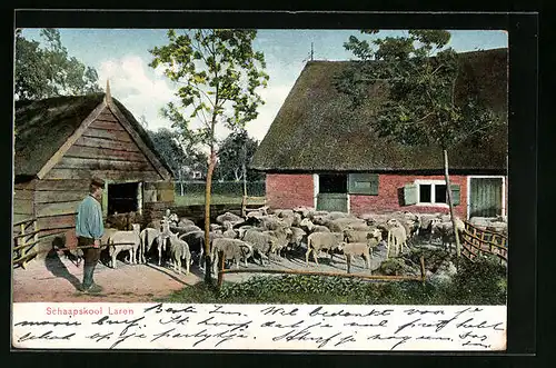 AK Laren, Schaapskooi