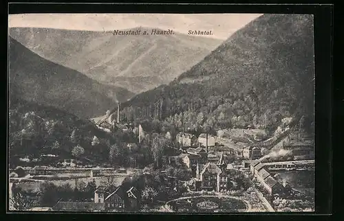 AK Neustadt a. Haardt, Blick ins Schöntal