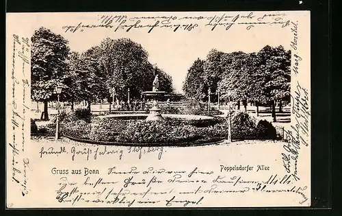 AK Bonn, Poppelsdorfer Allee
