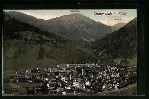 AK Immenstadt /Allgäu, Total mit Steinberg