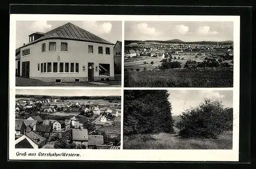 AK Siershahn /Westerwald, Ortsansicht mit Feldern und Bäumen