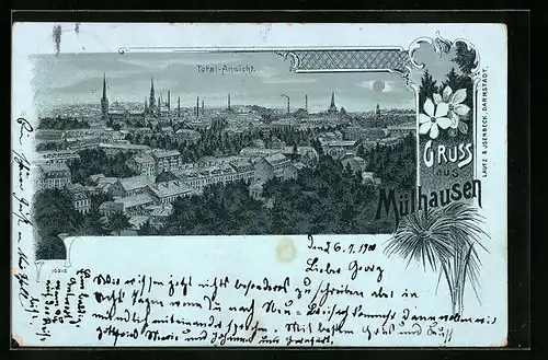 Lithographie Mülhausen, Totalansicht