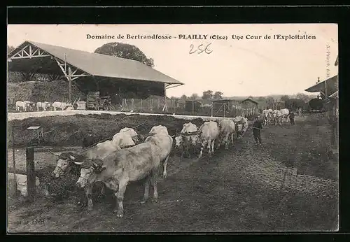 AK Plailly, Domaine de Bertrandfosse - Une Cour de l`Exploitation