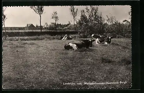 AK Westenschouwen, Landelijke rust