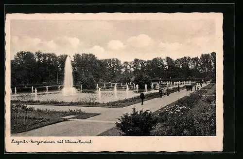 AK Liegnitz, Bergerwiesen mit Wasserkanal