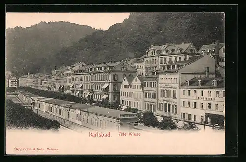 AK Karlsbad, Alte Wiese