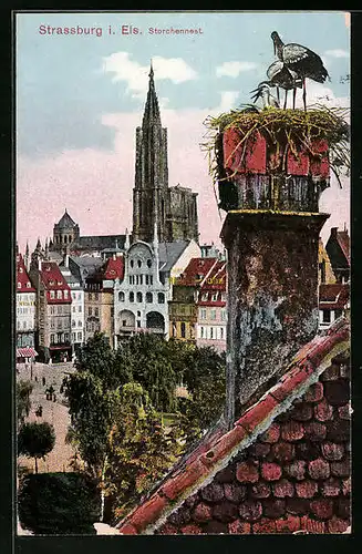 AK Strassburg i. E., Storchennest, im Hintergrund das Münster