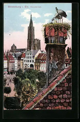 AK Strassburg i. E., Storchennest, im Hintergrund das Münster
