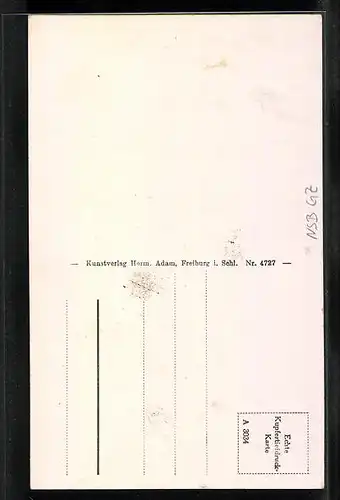 AK Bad Reinerz, Teilansicht mit Heuscheuer