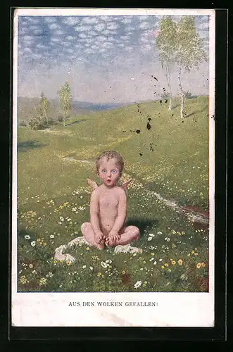 Künstler-AK M. Munk Nr. 1162: Aus den Wolken gefallen, Kleiner, nackter Bursche mit Engelsflügeln auf einer Wiese