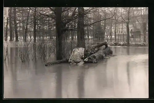 Foto-AK Zutphen, Ortspartie bei Hochwasser