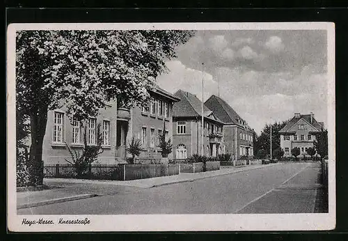 AK Hoya /Weser, Knesestrasse mit Bäumen