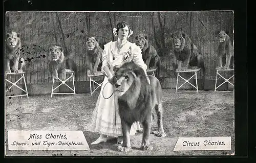 AK Zirkus Charles, Miss Charles mit Löwen, Dompteuse