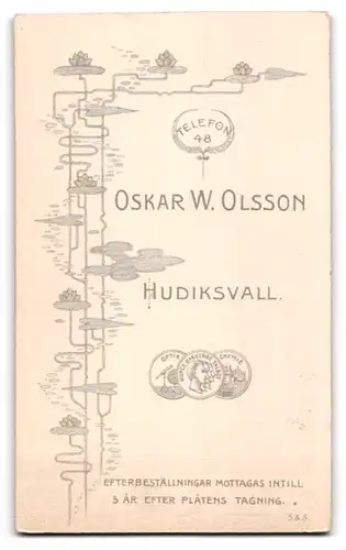 Fotografie Oskar W. Olsson, Hudiksvall, Junge Frau mit Brosche und Halskette