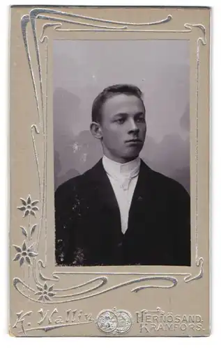 Fotografie K. Wallin, Hernösand und Kramfors, Jüngling mit steifem Kragen und weisser Krawatte