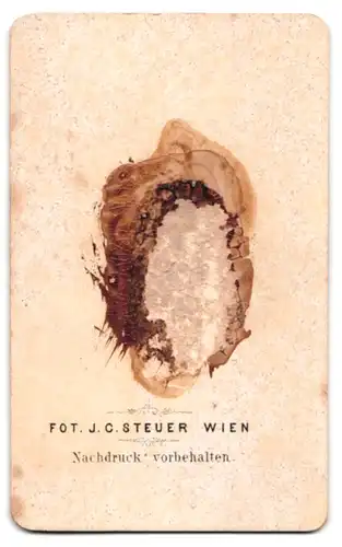 Fotografie J. C. Steuer, Wien, Portrait italienischer Schriftsteller Giovanni Boccaccio