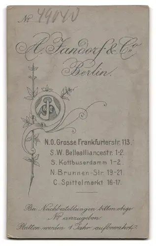 Fotografie A. Jandorf & Co., Berlin, Portrait Dame im dunklen Kleid mit langer Pelzstola