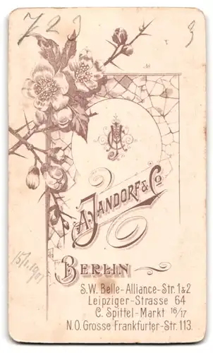 Fotografie A. Jandorf & Co., Berlin S.W., Belle-Alliance-Strasse 1&2, Junge Frau mit Locken und Brosche