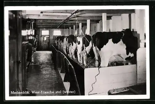 AK Medemblik, West-Friesche stal