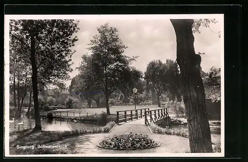 AK Siegburg, Schwanenteich mit Brücke