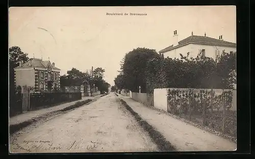 AK Brévannes, Boulevard