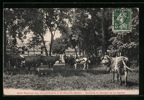 AK St.-Maurice, Vacherie et derrière de la maison