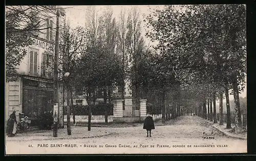 AK Parc-Saint-Maur, Aveneue du Grand Chêne, au Pont de Pierre, Bordée de Ravissantes Villas