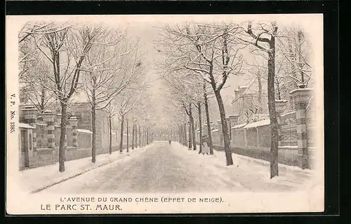 AK Le-Parc-Saint-Maur, L`Avenue du Grand Chêne, Effet de Neige