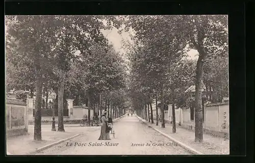 AK Le Parc Saint-Maur, Avenue du Grand Chêne