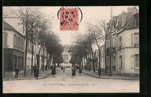 AK Le Parc St-Maur, L`Avenue des Erables