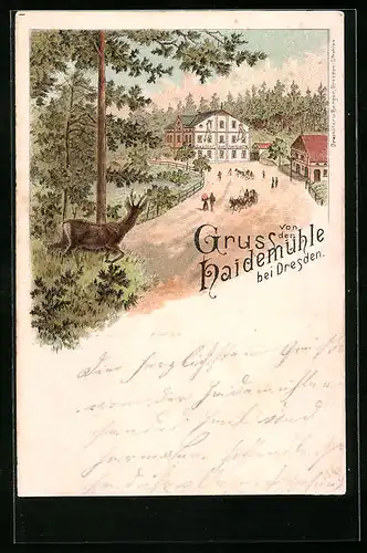 Lithographie Dresden-Dresdner Heide, Gasthaus zur Haidemühle