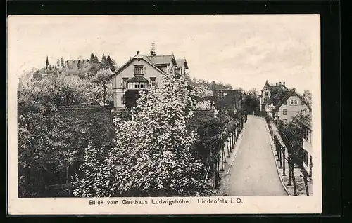 AK Lindenfels i. O., Blick vom Gasthaus Ludwigshöhe